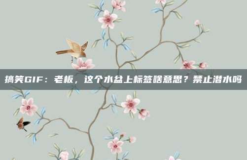 搞笑GIF：老板，这个水盆上标签啥意思？禁止潜水吗
