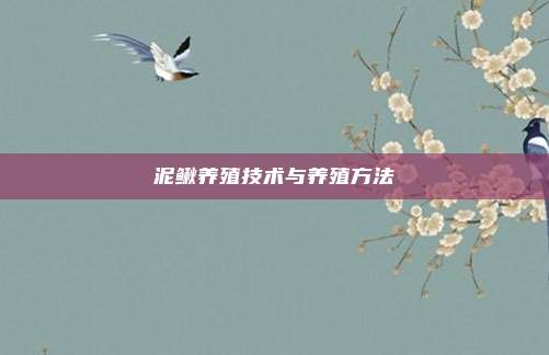 泥鳅养殖技术与养殖方法