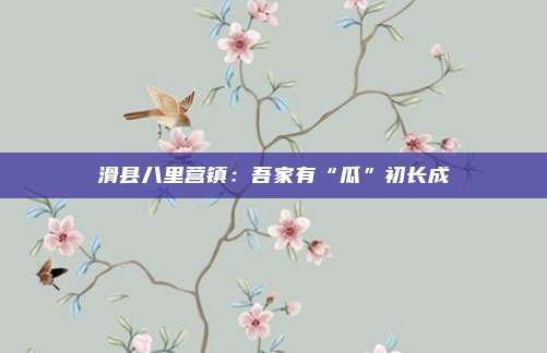 滑县八里营镇：吾家有“瓜”初长成