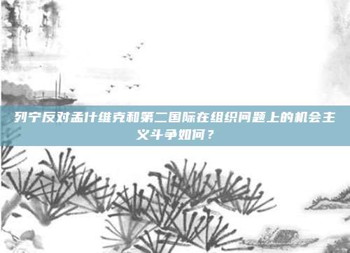 列宁反对孟什维克和第二国际在组织问题上的机会主义斗争如何？