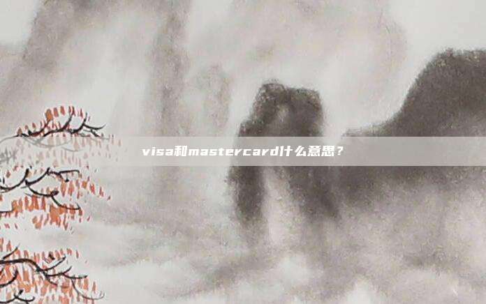 visa和mastercard什么意思？