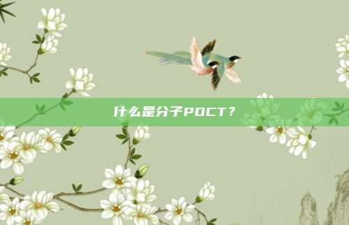 什么是分子POCT？