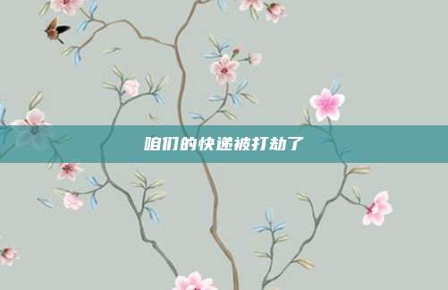 咱们的快递被打劫了