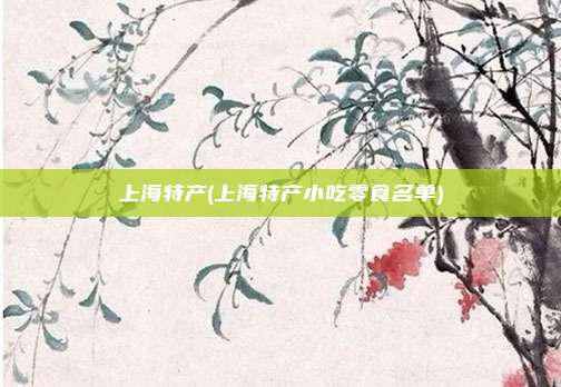 上海特产(上海特产小吃零食名单)