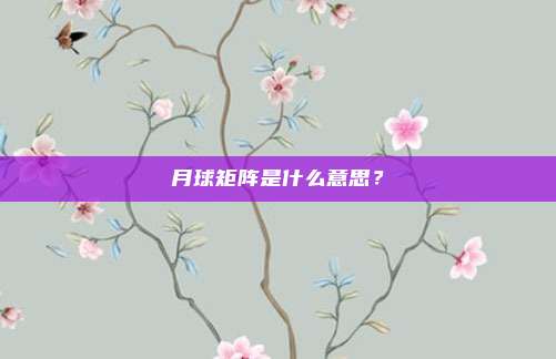 月球矩阵是什么意思？
