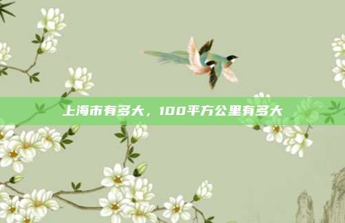 上海市有多大，100平方公里有多大