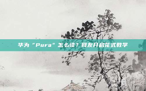 华为“Pura”怎么读？网友开启花式教学