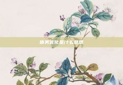 债务优化是什么意思