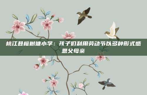 桃江县檀树塘小学：孩子们利用劳动节以多种形式感恩父母亲