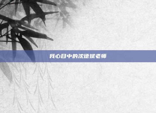 我心目中的沈德斌老师