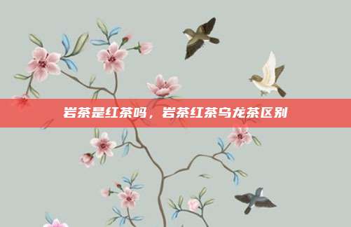 岩茶是红茶吗,岩茶红茶乌龙茶区别
