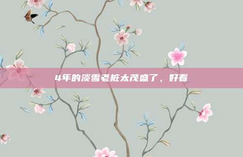 4年的淡雪老桩太茂盛了，好看