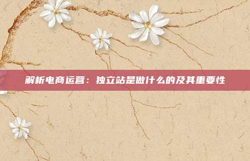 解析电商运营：独立站是做什么的及其重要性