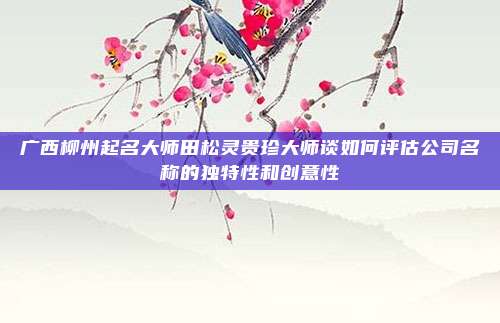 广西柳州起名大师田松灵贵珍大师谈如何评估公司名称的独特性和创意性