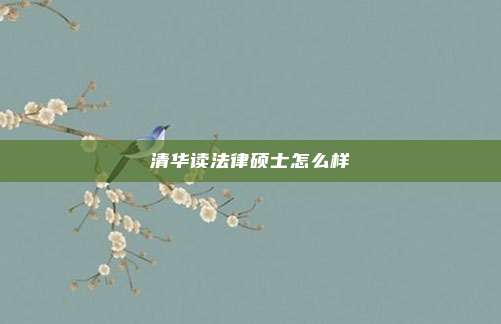 清华读法律硕士怎么样