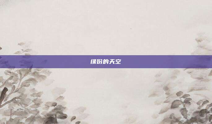 缘份的天空
