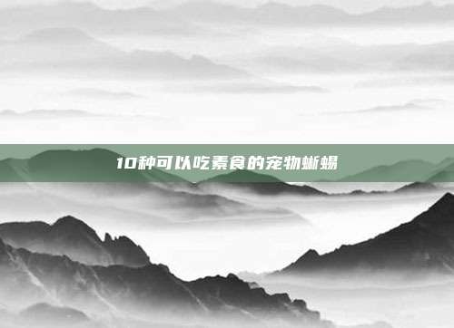 10种可以吃素食的宠物蜥蜴