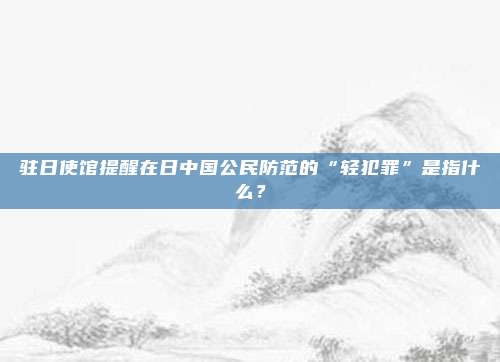 驻日使馆提醒在日中国公民防范的“轻犯罪”是指什么？