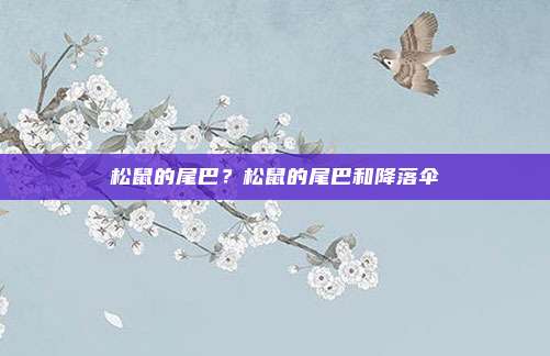 松鼠的尾巴？松鼠的尾巴和降落伞