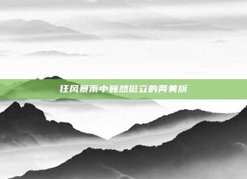 狂风暴雨中巍然挺立的两黄旗