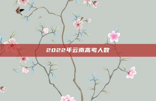 2022年云南高考人数