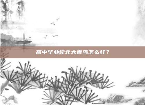 高中毕业读北大青鸟怎么样？