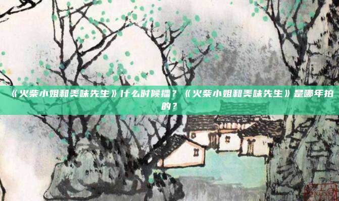 《火柴小姐和美味先生》什么时候播？《火柴小姐和美味先生》是哪年拍的？