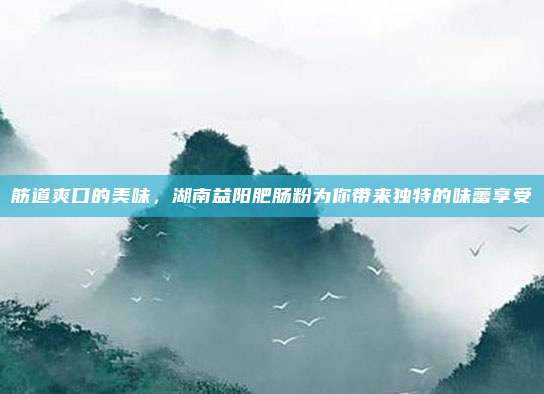 筋道爽口的美味，湖南益阳肥肠粉为你带来独特的味蕾享受