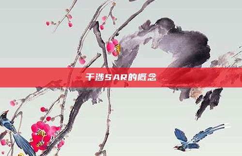 干涉SAR的概念
