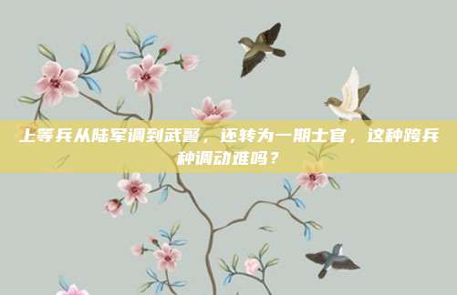 上等兵从陆军调到武警，还转为一期士官，这种跨兵种调动难吗？