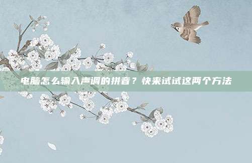 电脑怎么输入声调的拼音？快来试试这两个方法