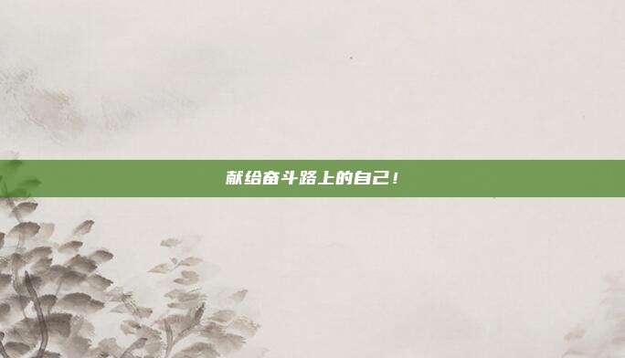 献给奋斗路上的自己！