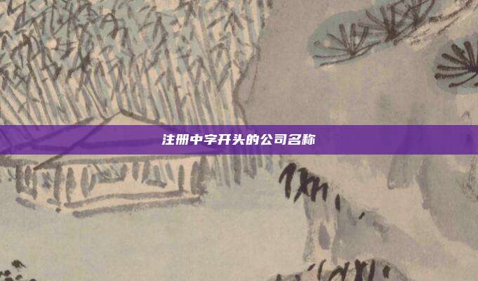 注册中字开头的公司名称