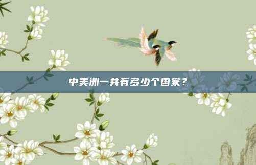 中美洲一共有多少个国家？