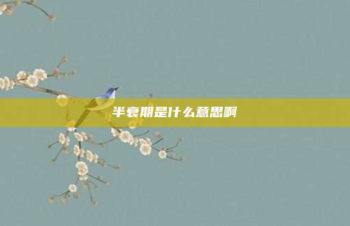半衰期是什么意思啊