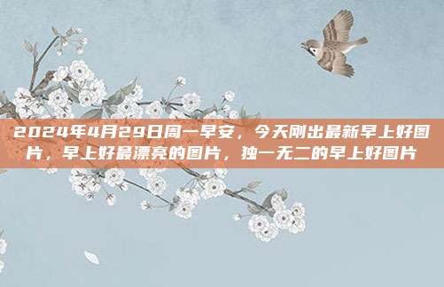 2024年4月29日周一早安,今天刚出最新早上好图片,早上好最漂亮的图片,独一无二的早上好图片