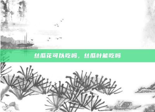 丝瓜花可以吃吗，丝瓜叶能吃吗