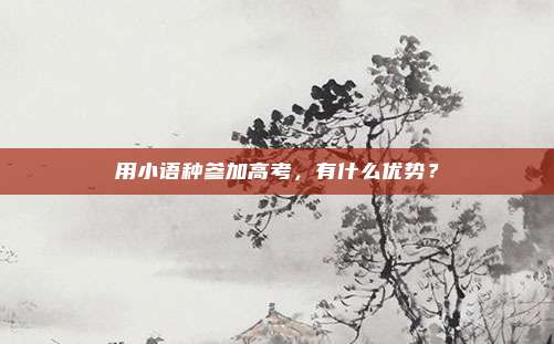 用小语种参加高考，有什么优势？
