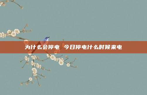 为什么会停电 今日停电什么时候来电