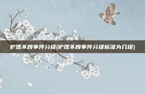 护理不良事件分级(护理不良事件分级标准为几级)
