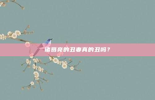 诸葛亮的丑妻真的丑吗？