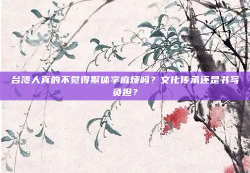 台湾人真的不觉得繁体字麻烦吗？文化传承还是书写负担？