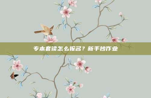 专本套读怎么报名？新手抄作业