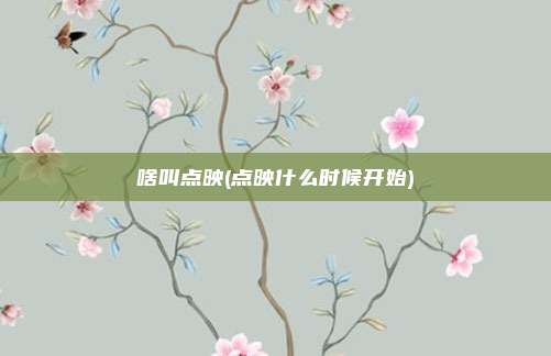 啥叫点映(点映什么时候开始)