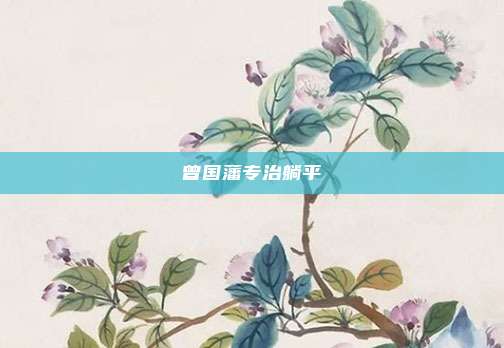 曾国藩专治躺平