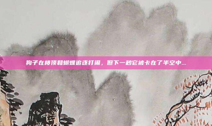狗子在楼顶和蝴蝶追逐打闹，但下一秒它被卡在了半空中...