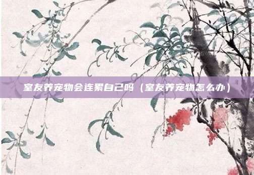 室友养宠物会连累自己吗（室友养宠物怎么办）