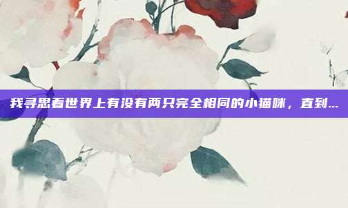 我寻思着世界上有没有两只完全相同的小猫咪，直到...