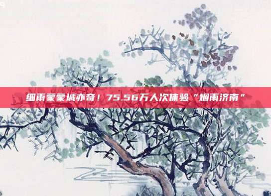 细雨蒙蒙城亦奇！75.56万人次体验“烟雨济南”