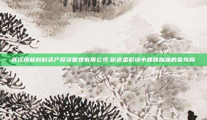 武汉恒新创科资产投资管理有限公司:你还是职场中跌跌撞撞的菜鸟吗
